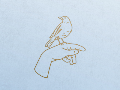 A Bird on the Hand bird illustration birds hand hand illustration illustration line art robin tattoo vector