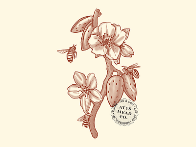 Almond Blossom Illustration | Atys Mead Co.