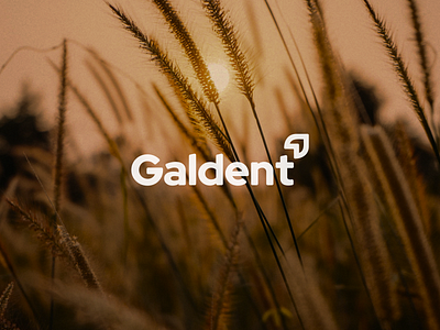 Galdent Logo