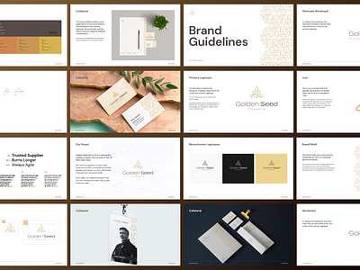 Golden Seed Fats & Oil Brand Guidelines brand book brand guide brand identity branding gold logo oil palm seed
