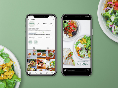 Cress Instagram and Ads armature works art direction branding food stall highlight icons icon design icons market hall salad salad restaurant social media design tampa tampa fl