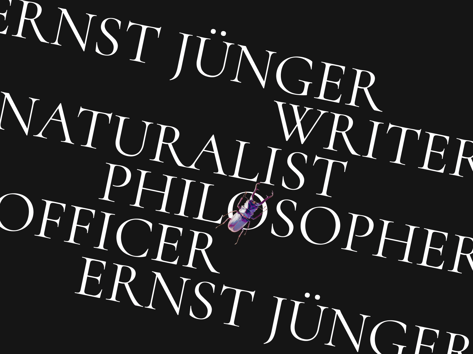 Ernst Jünger longread \ Internal pages animation clean design digital flat gif historical longread longread about writer minimal motion graphics typography ui ux ux design vector web web design website