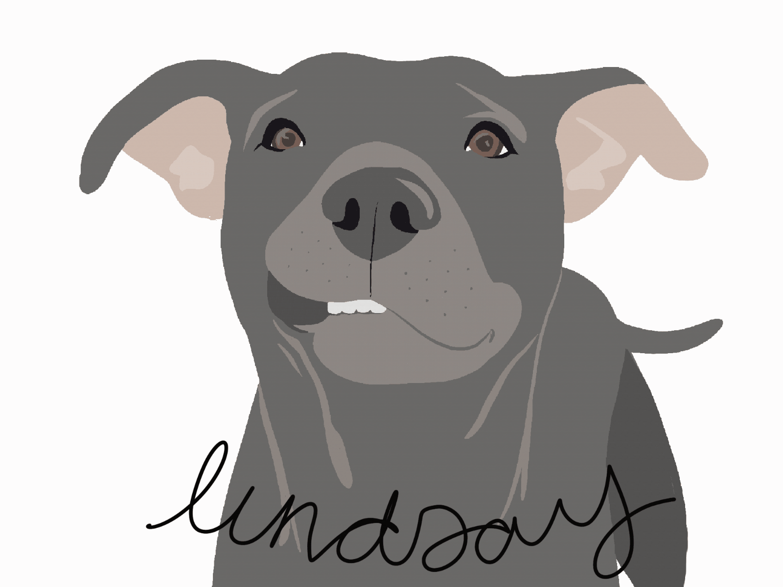 Lindsay the Pittie adopt dog drawing illustration procreate
