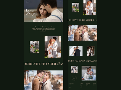 Web concept for photographer