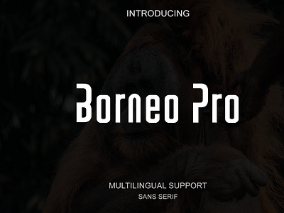 Borneo Pro | Modern Sans Serif