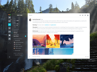 Northern Owl (Application MacOS) app apple application chat mac macos messenger minimalism photo team ui ux working workspace