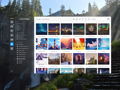 Northern Owl (Application MacOS) app apple application cloud designer explorer files grid illustration mac macos manager photo share storage team ui ux working workspace