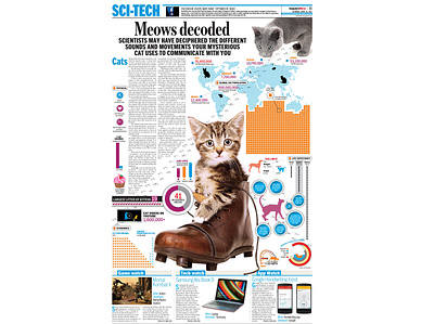 Meows decoded, Page Design branding design flat graphic design icon illustration logo news design newspaper page design print publishing typography vector