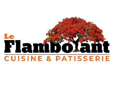 flamboyant Logo flamboyant flamboyant logo logo logo design typography logo versatile logo