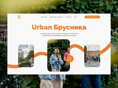 Urban Institute • landing page Urban Брусника