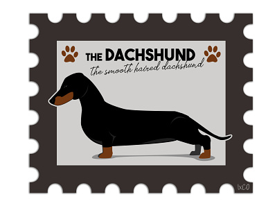 The Dachshund by IxCO dashchund dog dog illustration dog logo dogs ixco