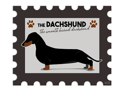 The Dachshund by IxCO