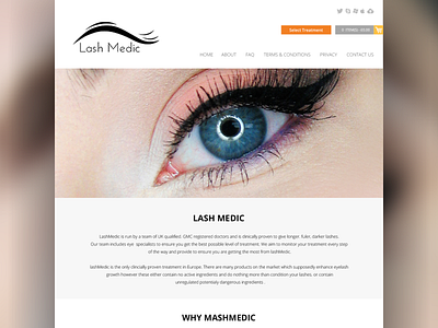 LashMedic WebDesign creativedesign photoshop psd redesign web webdesign website wordpress