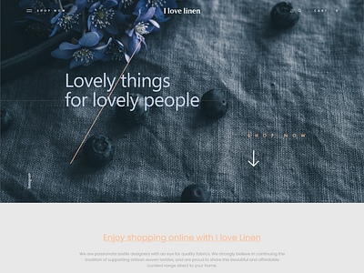 Unsolicited Landing Page Design - Ilovelinen