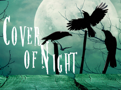 Cover of Night album cover logo rock