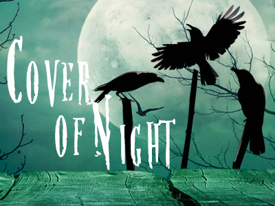 Cover of Night