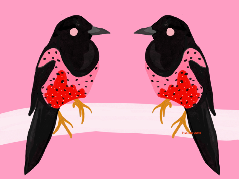 Two For Joy Magpie Ilustration By Pink Ink On Dribbble