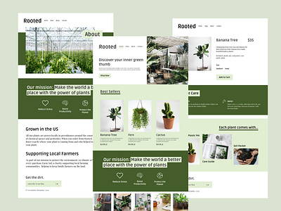 Rooted Plant Delivery Website branding coding development html css ui ux ux design web design website