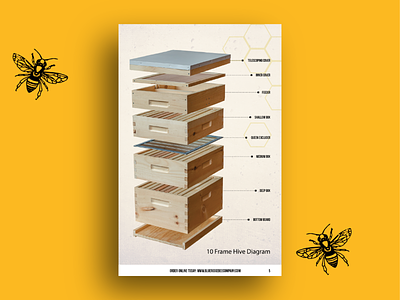 Hive Stack brand design catalog design graphicdesign photography photoshop print design social media design social media graphic social media marketing typography