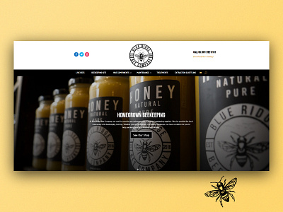 Blue Ridge Bee Company Site design ecommerce graphicdesign product web design website