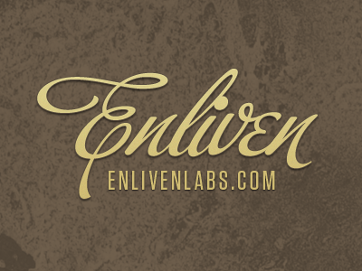 Enliven Labs Logo v2.1