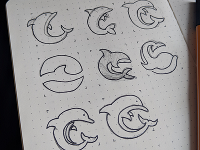 🐬 Sketches branding dolphin logo paper pencil sketch