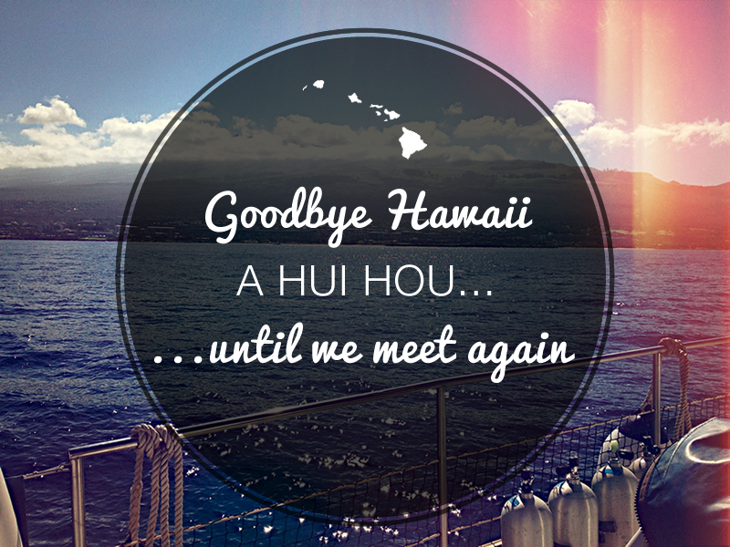 goodbye-hawaii-by-al-abut-on-dribbble