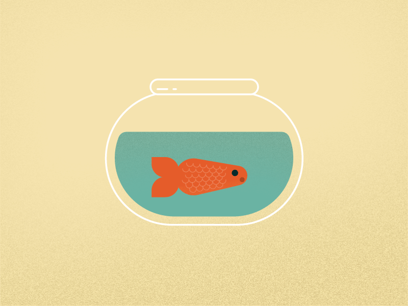 Fish out of water bubbles fab design fish fish bowl flat design red fish textures water