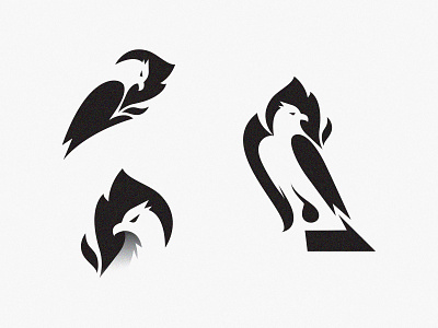 eagle birds logo design
