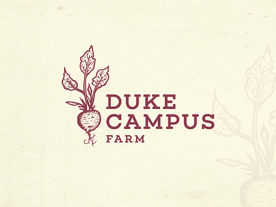Logo proposal beetroot farm hand drawn logo organic