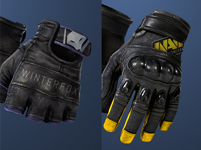 CS:GO Glove Skin Concepts csgo gaming navi video games winterfox