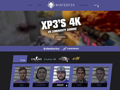 Winterfox Website Redesign concept draft esports flat gaming one page redesign ui update ux website