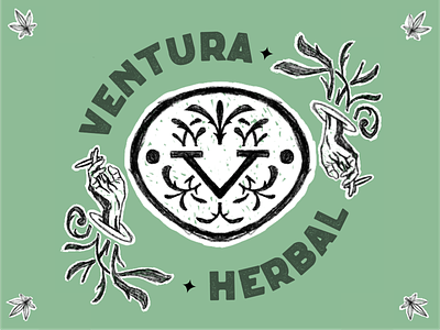 Ventura Herbal Lockup brandidentity branding cannabis branding cannabis design cannabis logo cannabis packaging illustration label design package design vintage design