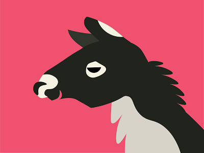 Poncho the Llama design graphic illustration illustrator vector