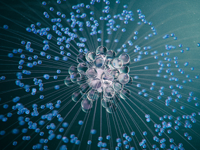 Water drops c4d ice rendering sphere spherical texture textures
