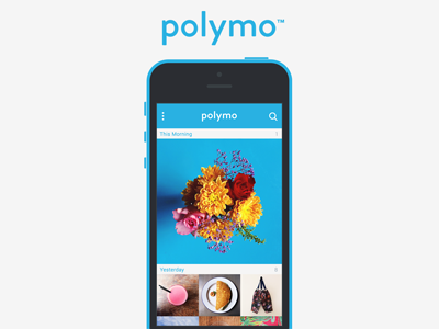 Polymo - Gallery app curation gallery memories photos polymo sorting tags ui