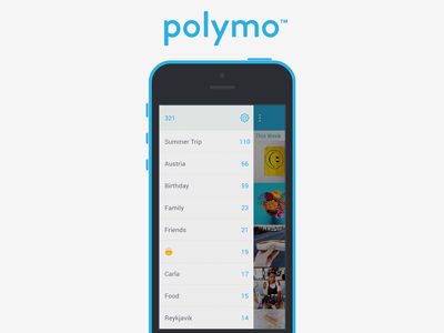 Polymo - Tag List app curation memories photos polymo sorting tags ui