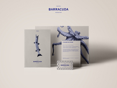 Barracuda identity branding design logo minimal type typography vector