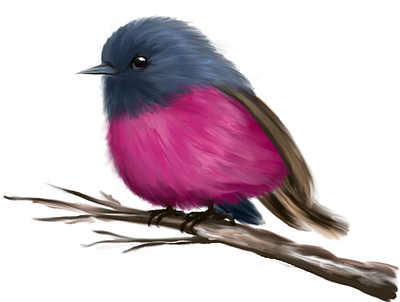 Pink Robin Bird adobe adobe fresco bird color digital art digital illustration digitalart dribbble illustration pink robin redraw