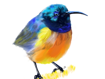 Sunbird