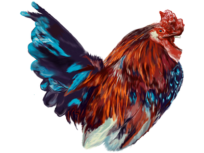 ‘Rooster’