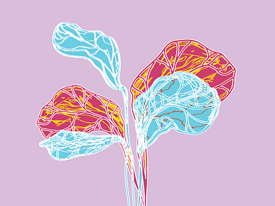 Spinach adobe color illustration illustrator purple spinach