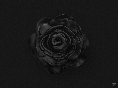 Made from Clay. black clay digital imaging photoshop retouch rose sculpt