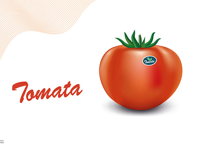 Tomato Fruit Design In Adobe Illustrator