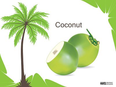 Coconut Fruit Design in Adobe Illustrator