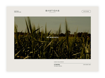 Bastidas Investment brand identity elementor pro ux design website design