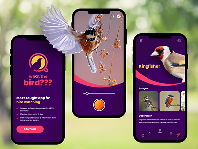 What The Bird? App app design design ux