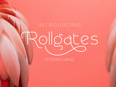 Rollgates Modern Sans Font