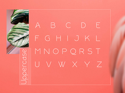 Uppercase Rollgates Modern Sans Font
