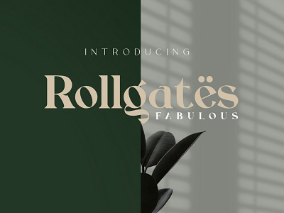 Rollgates Fabulous Font branding design font template design typography